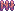 サンゴのフェンス