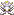 大王イカ