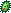ジャンボ細菌