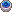 ジャンボイカの目玉