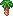 海草の木