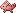 ピンクサンゴウオ