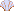 貝がら