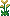 ミズアシ