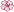 白桜の花