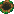 セミの巣穴