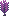 紫色のフェザーツリー