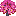 紅桜の木