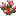 大きな真紅サンゴ