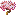 白桜の木
